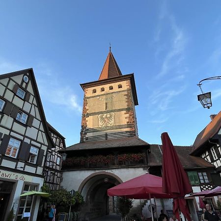 Appartement Coucou - Nest Im Schwarzwald à Gengenbach Extérieur photo